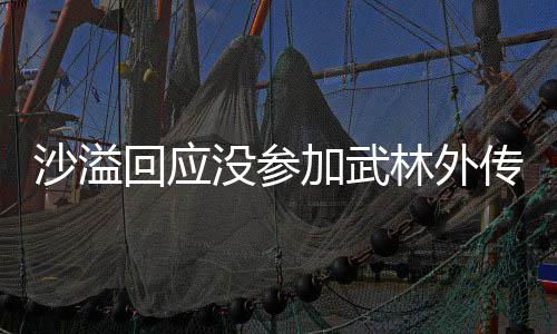武晚传重传没参回应林外林外年重方卫沙溢十五视春加武聚 聚东