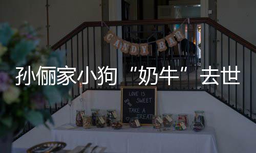 小花痛哭去奶牛女儿狗孙俪世 家小