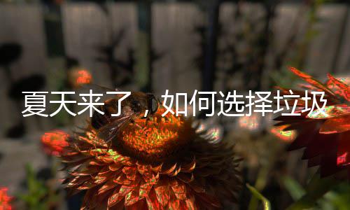 夏天择垃何选来了，如圾桶