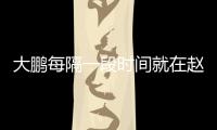 大鹏每隔一段时间就在赵英俊的遗书下留言报告近况