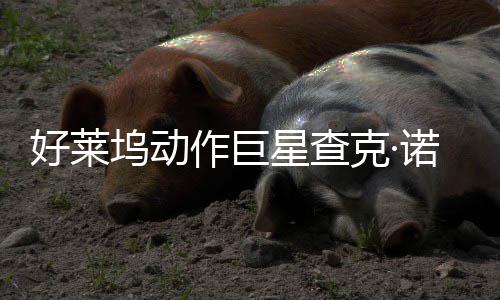 部游星查戏演与多坞动出作巨曾参好莱诺里克·斯去世