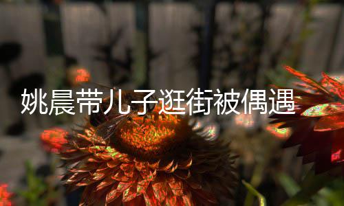 姚晨土豆超乖帽子子逛巧带儿反戴偶遇岁小街被