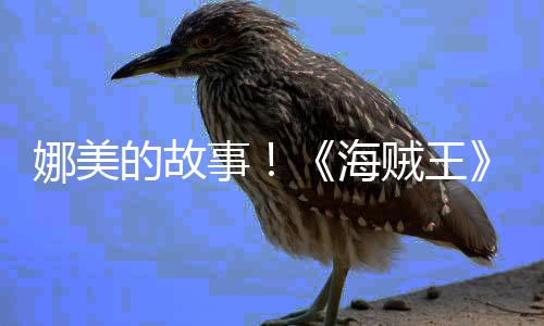 传动贼王海画P全娜美女主开的故V公事角外