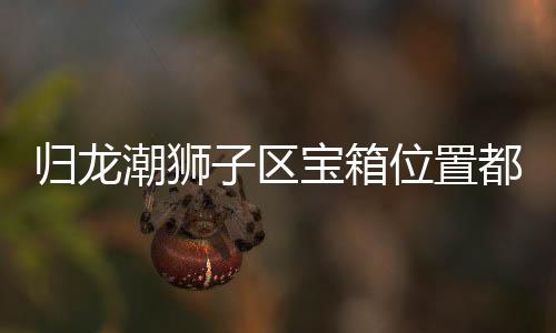 宝箱箱位享位置潮狮子区置分区宝龙潮哪里都在归龙 归狮子