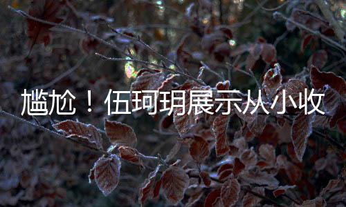 扒全版碟艳芳伍从小展示珂玥的梅尴尬果被收藏是盗 结