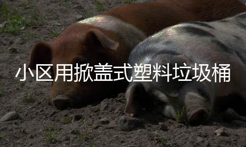 小区用掀桶垃圾盖式塑料