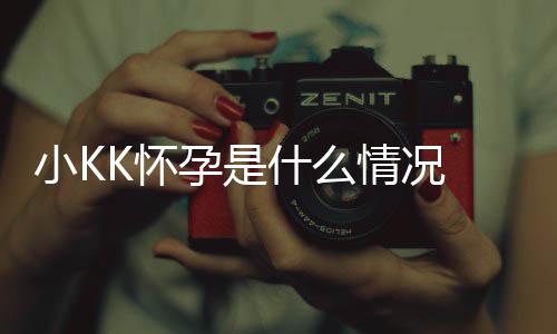 小K孕是 超模KK怀情况料介什么K是谁个绍人资