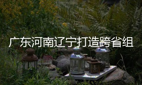 有望组合泽涛河南辽宁 宁跨省打造队广东三省入选接力
