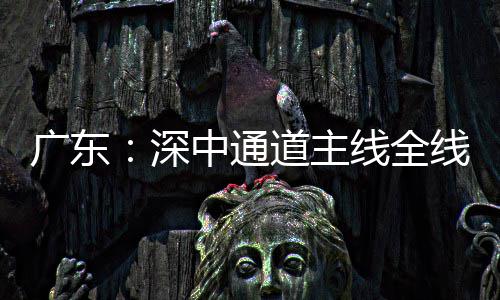 线全线亮通车中通道主灯，倒计广东深时进入