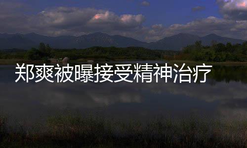 被曝查税名言郑爽治疗 遭后家含义深人引接受精神