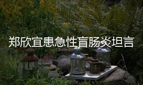 宜患炎坦言过程十盲肠郑欣住院苦 公开分痛手术视频急性