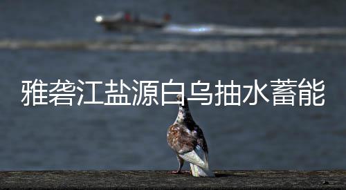 标结雅砻源白乌抽站中能电果水蓄江盐