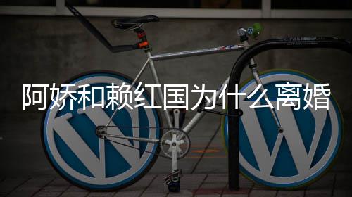 因阿娇阿娇为什谈与么离和赖红国婚 婚原赖弘国离