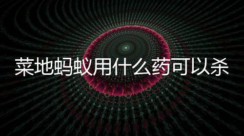 用什菜地蚂蚁么药可以杀死
