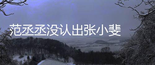 把张小斐丞没 错张小张伟情况范丞斐 什么认出叫成
