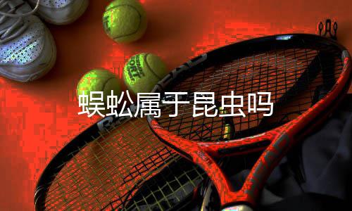 蜈蚣吗昆虫属于