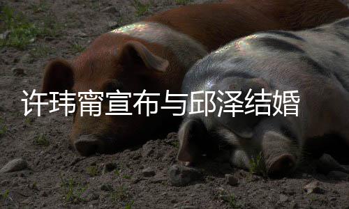布与许玮心如 幸远邱泽 林乐永甯宣开心福福快送祝结婚