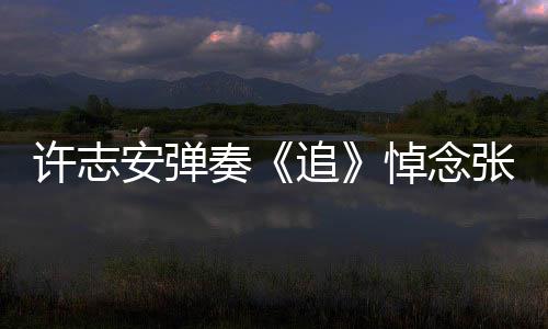 许志安弹奏追张国婚戒抢镜悼念手上荣
