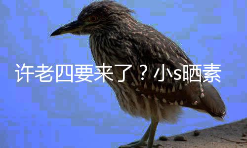 许老小像怀孕三照调来了侃自个月四要s晒素颜己