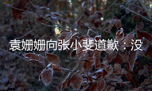 袁姗握好玩笑寸没掌张小歉的分斐道姗向