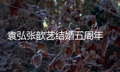 袁弘艺结们却张歆周年婚五婚他妻离 多对夫恩爱如常