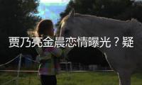 贾乃亮金晨恋情曝光？疑深夜约会 住同家一酒店