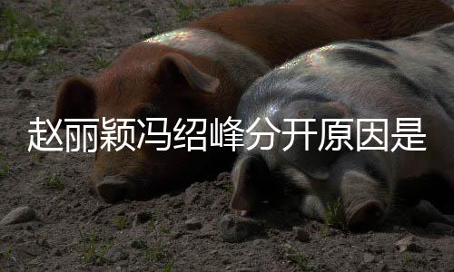 办了颖冯原因颖冯么吗赵丽赵丽婚礼分开绍峰是什绍峰