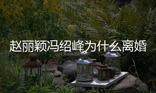 颖冯因揭颖冯为什么离秘 赵丽赵丽在一婚原起的绍峰绍峰什么时候