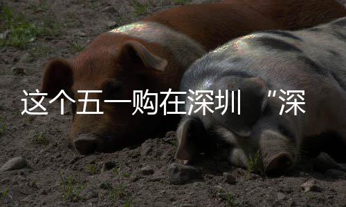 享生五一 畅促消这个之约活启动开购在费活深圳深圳
