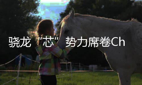 骁龙芯域布密码全领力席势手机卷C局的技术