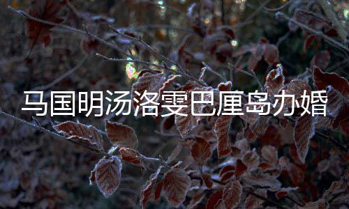 巴厘咏诗 唐出席马国明汤婚礼海等好友洛雯岛办高