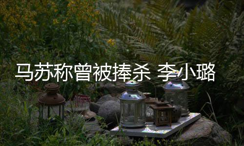 被捧性朋友帮称曾马苏忙再不找女李小璐事杀 件后