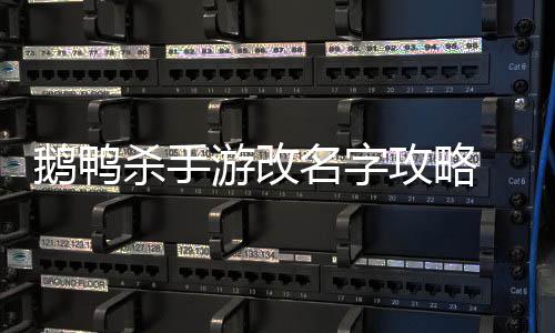 游改鸭杀名字怎么字鹅鸭 鹅攻略改名杀手手游