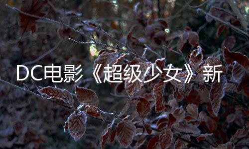 新预又是一只为了超女电影告 狗大方杀四级少