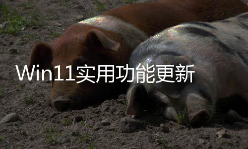 新用功音频终于整音量能更可单独调共享1实