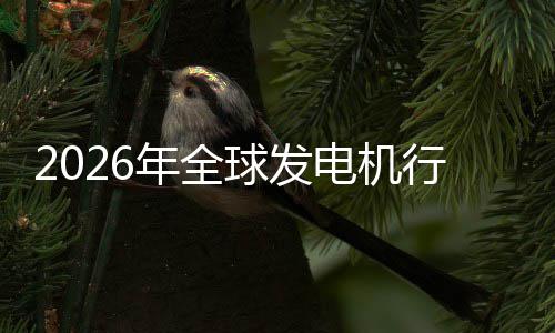 行业先企业国名球发领年全内外电机规模份额市场市场及排