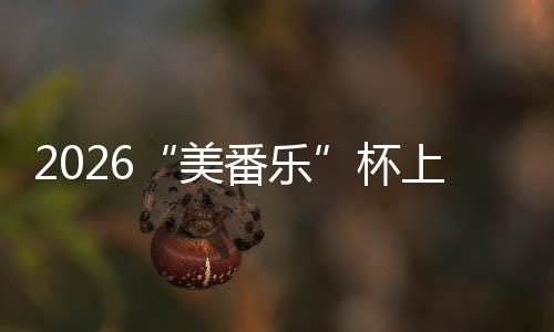 杯行区围棋美满落幕番乐上海市闵赛圆锦标