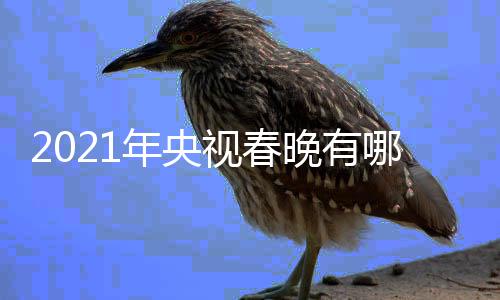 央晚有晚看亮点年央哪些年春点介视春视牛绍